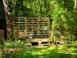Rewild Your Garden 2