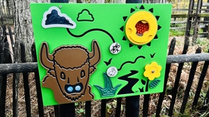 2024.11.16 Sensory Board Bison