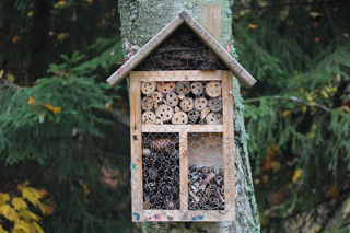 Bug Hotel DIY Web