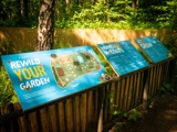 Rewild Your Garden