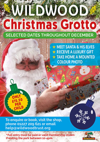 Grotto 1200X1200