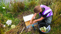 Water Vole Release Credit Wildwood Trust Harding Lee Media 11