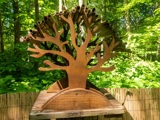 Rewild Your Garden 5