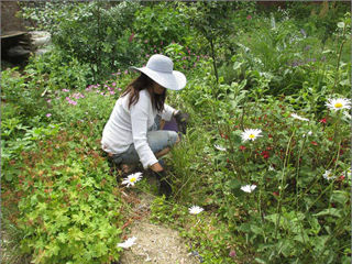 Forest Gardening 0 1200X1200