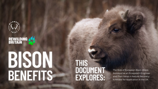 Bison Benefits Website