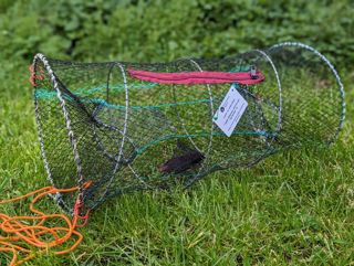 2024.03.14 Crayfish Baited Net