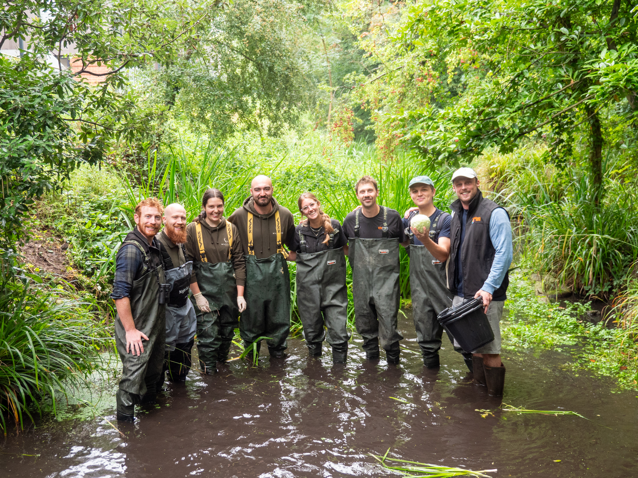 Water Vole Release Credit Wildwood Trust Harding Lee Media 1