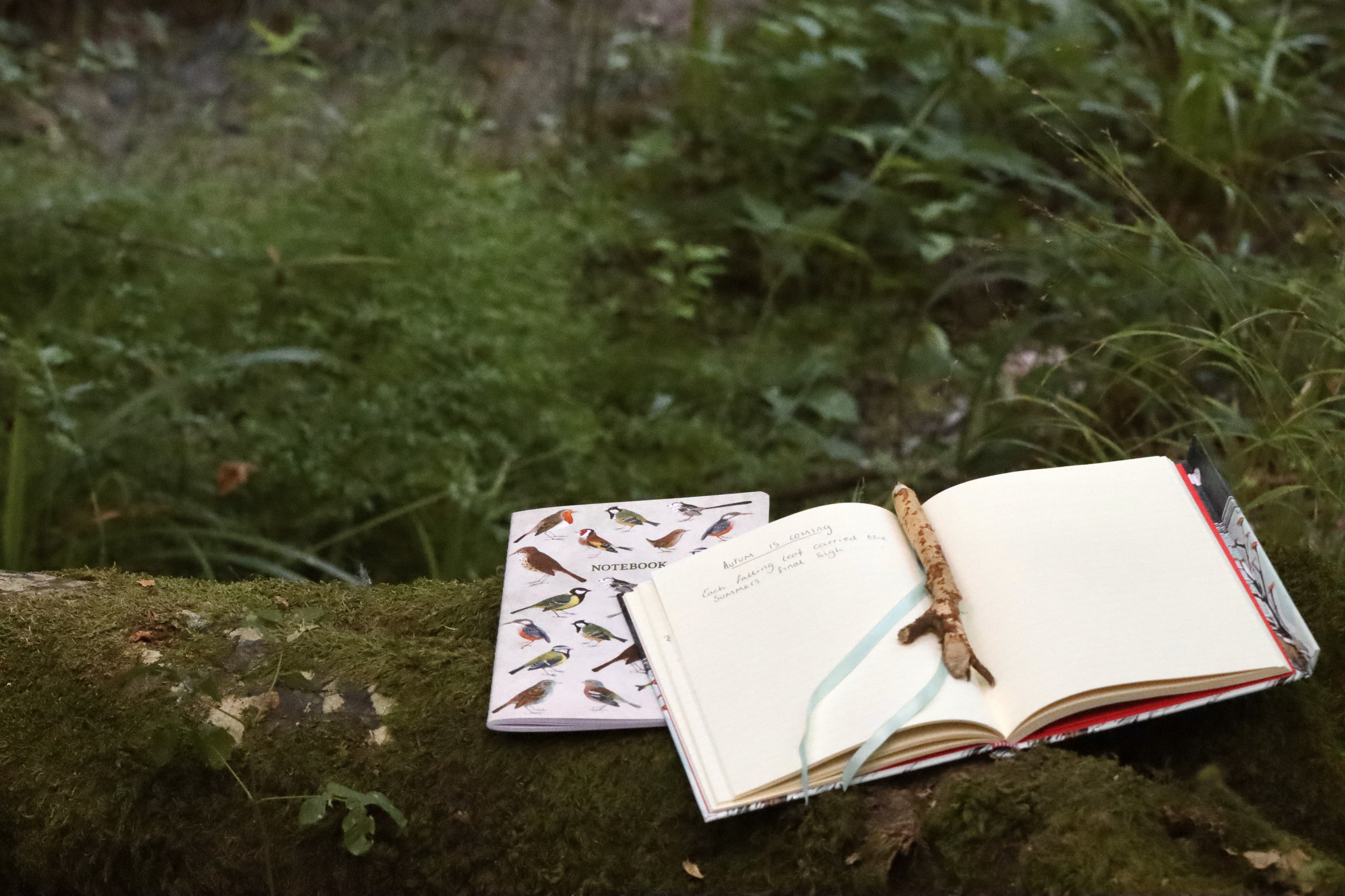Nature Writing Workshop Photocredit Jazz Woollard