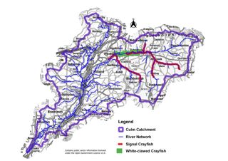 2024.04.06 Map River Culm