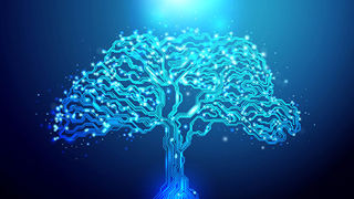 Circuit Tree 1200X1200